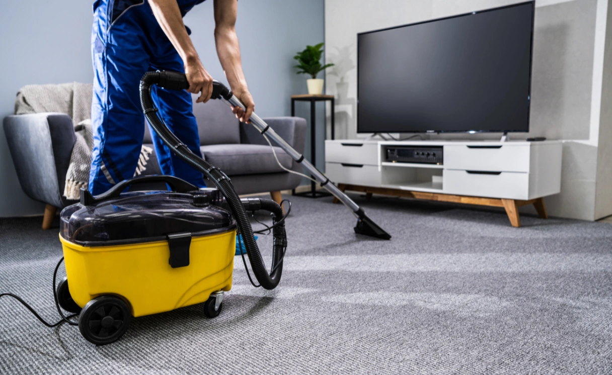 Extract Curtain Cleaning Viewbank Contact Office